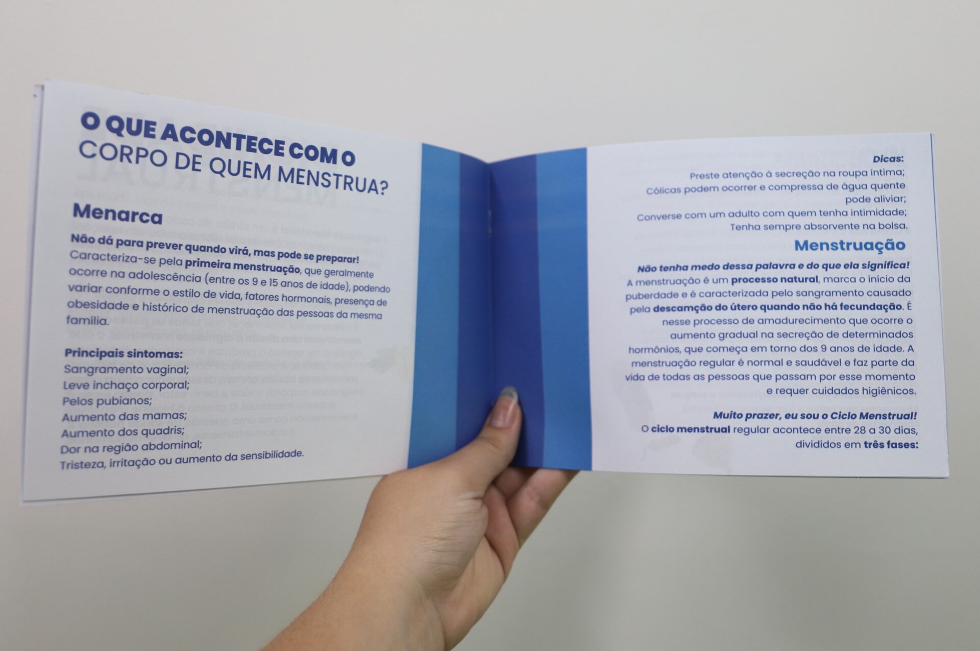 Programa Cuidar-SE